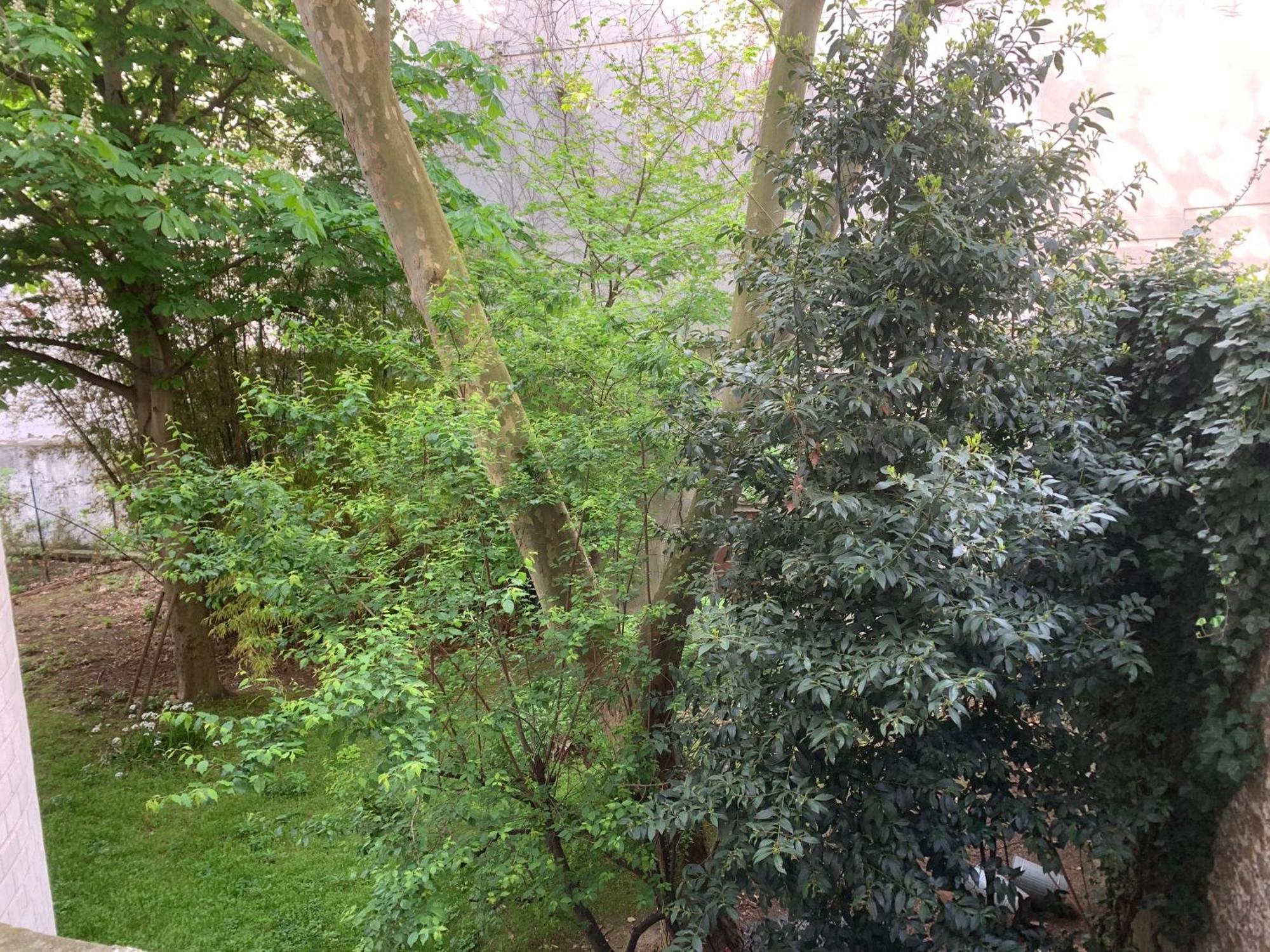 Charmant Studio Pere Lachaise باريس المظهر الخارجي الصورة